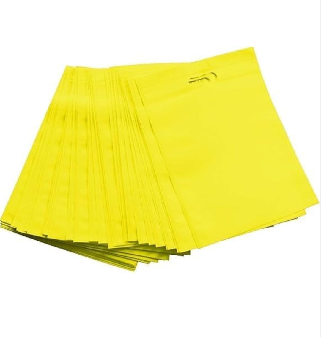 Return gift carry bag (50 Piece Pack)